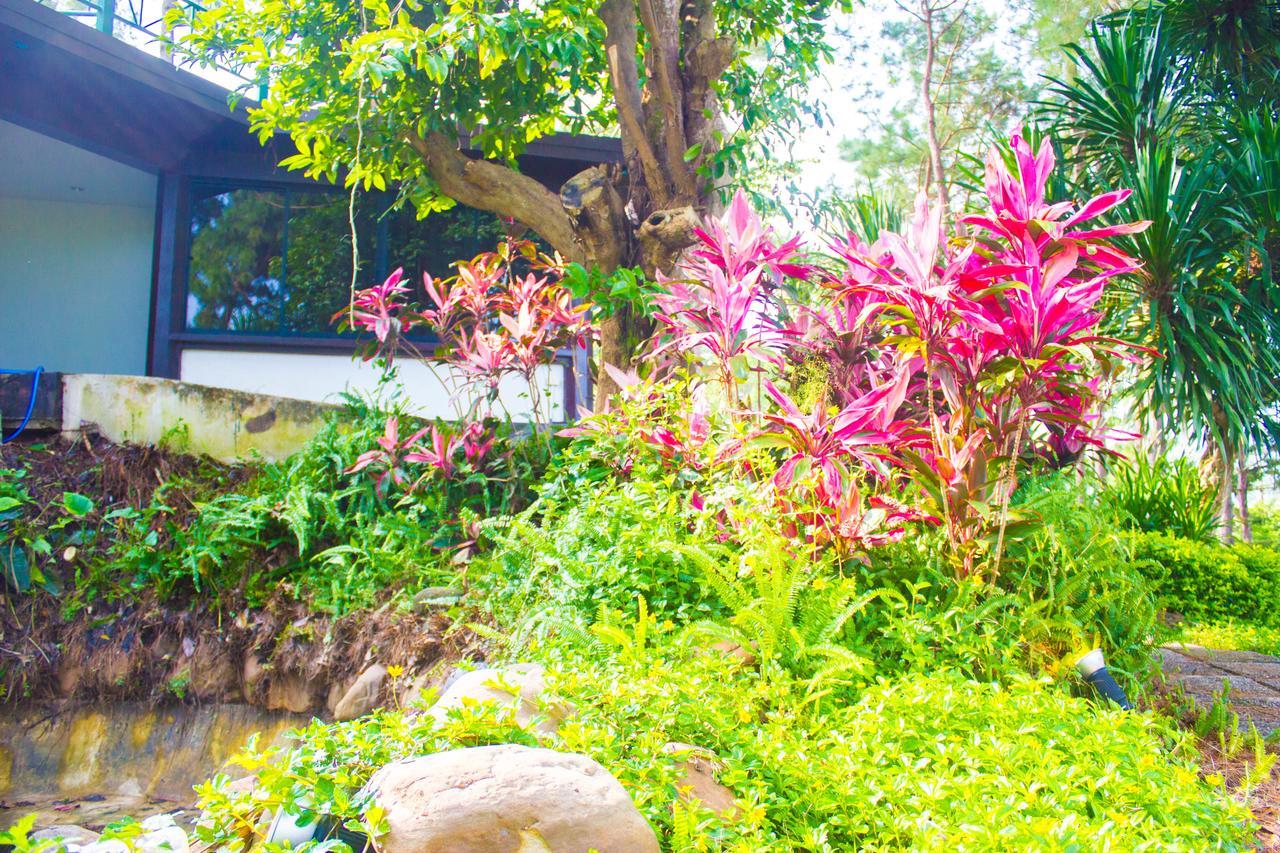 Bird Land Resort Khao Kho Exteriör bild