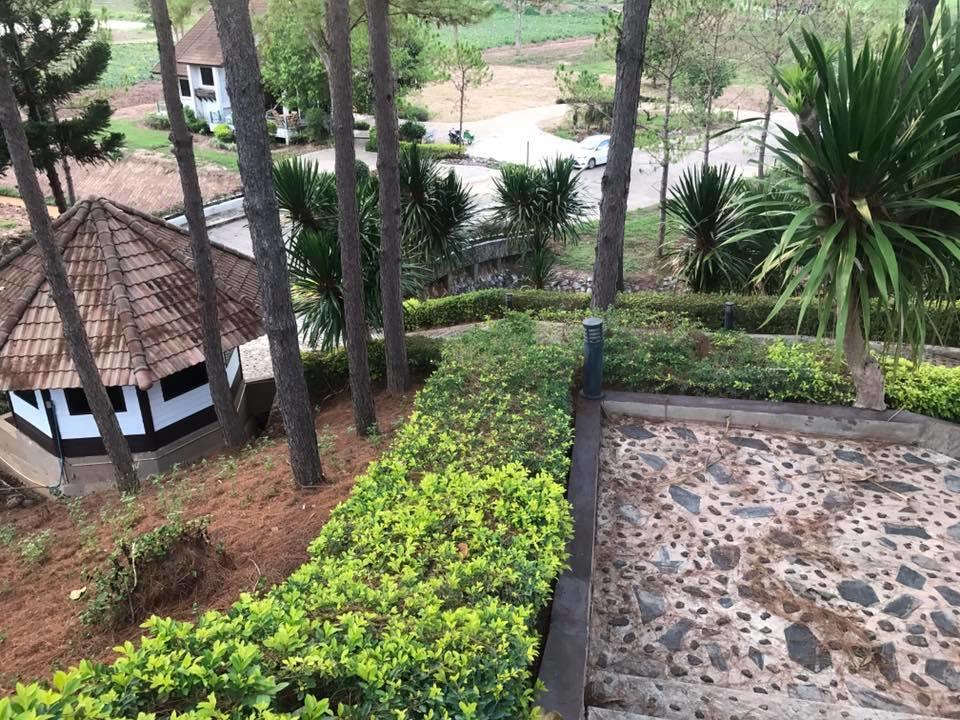 Bird Land Resort Khao Kho Exteriör bild